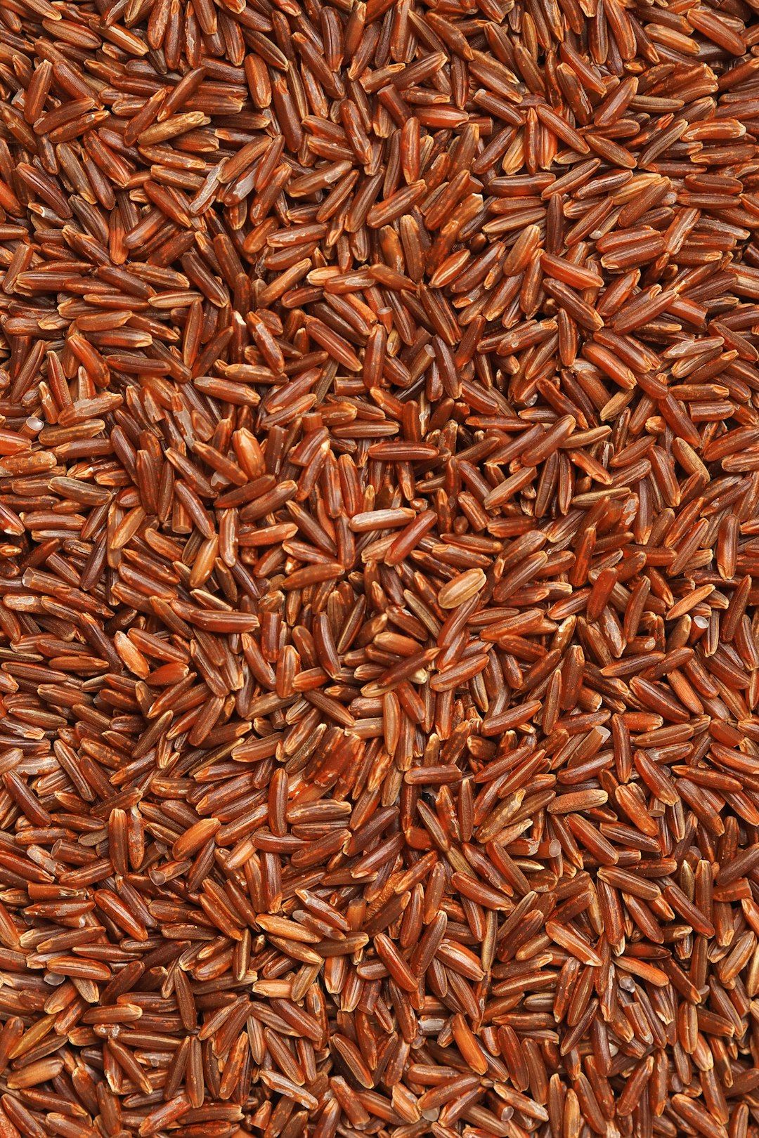 Wild Rice